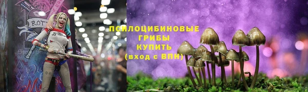 индика Абинск