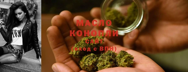 индика Абдулино