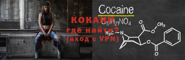 индика Абинск