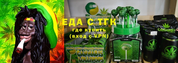 индика Абинск