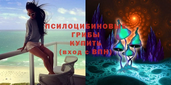 индика Абинск