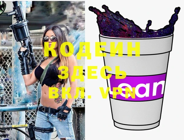 индика Абинск