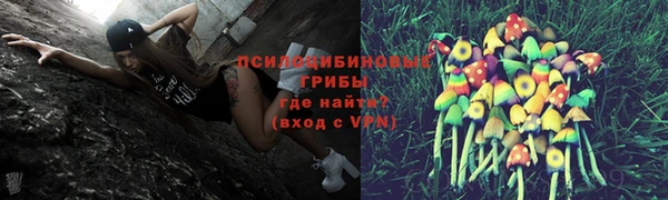 трава Абаза
